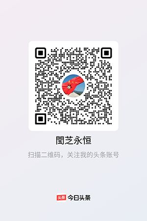 扫码关注今日头条